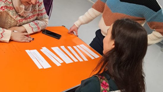 The Power of Community in the Peer MIST Project