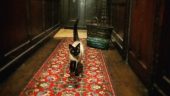 Working with The National Trust at The Carlyle House