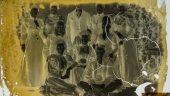 A Picture is Worth a Thousand Words (Glass Plate Negative Conservation)