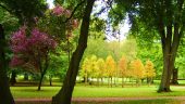 Places to visit and socialise outdoors in and around Cardiff