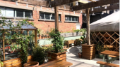 Top 5 Coffee Shops to do work in