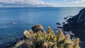 Study-abroad in Cardiff and around the World