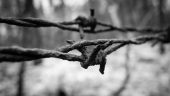 How Closed-Mindedness Obstructs Effective Inquiry